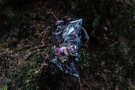 Long Before Video Japanese Fought Suicide In The Sea Of Trees The New York Times