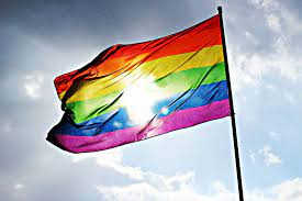 Oct 04, 2016 · >>416640 ya i think traditional art experience does inform the process quite a bit when it comes to form and light and stuff. Selective Focus Photography Of Lgbt Flag Rainbow Aesthetic Lgbt Pride Flag 910x607 Wallpaper Teahub Io