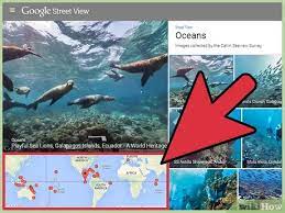 A shortlist of possible results will drop down. How To Go Underwater In Google Maps 10 Steps With Pictures