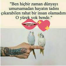Pin By Saygilar 10 On Saygilar 10 Animals Parrot Bird