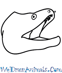 How To Draw An Eel Face Sometimes, i forget how much i love drawing and i've started looking for new ideas to try out during those breaks in class when i don't have or even want my phone. how to draw an eel face