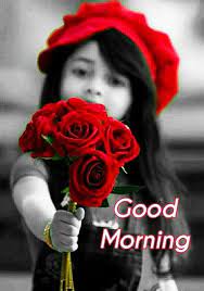 Good morning free mp4 whatsapp status video download. Good Morning Images For Whatsapp Good Morning Roses Latest Good Morning Images Good Morning Images