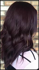 chic dark purple hair color ideas fashion simple hairstyles hair color 2019 haarfarben burgunder haar haare rotbraun