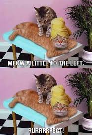 Now That S The Life Massage Humor From Etmissaquah Massage Therapy Quotes Wellness Massage Massage Therapy Humor