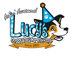 Grooming your pet is an essential part of pet care, brushing and combing them frequently is especially important to maintain a good and healthy coat. Facebook