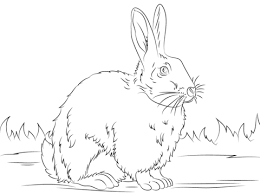 Inside this page, you can find our collection of rabbit coloring pictures for printing and coloring. Cute Rabbits Free Printable Coloring Pages For Girls And Boys