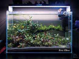 Aq 44 Photo Aquascape Nature Aquarium Aquarium Fish Tank