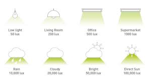 Pin By Dinkar On Lighting Design In 2021 Solar Cell Solar Energy Harvesting