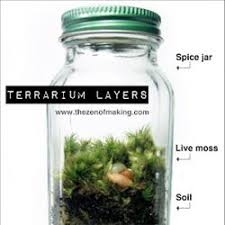 Turn Your Empty Spice Jars Into Mini Moss Terrariums With This Fun Simple Earth Week Project Mini Terrarium Terrarium Terrarium Diy