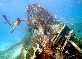 Established in 1968, biscayne national park prides itself on preserving the pristine beauty of more than 172,000 acres of nature. Instagram Photos That Prove That Biscayne National Park Is A Dazzling Gem Miami Com Miami Herald