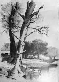 Maybe you would like to learn more about one of these? Pencil And Canvas Landscape In Pencil Landscape Pencil Drawings Landscape Drawings Pencil Drawings Of Nature