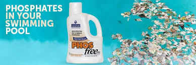 Phosphates may be to blame. Phosphates In Your Swimming Pool And How To Remove It