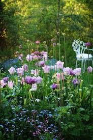 Dreamy Quality Beautiful Shades Of Purple And Green In Secret Space In The Garden Garten Blumen Anbauen Schone Blumen