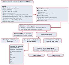 Racgp Fatigue A Rational Approach To Investigation