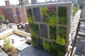 Vertikale Begrunung Als Balkon Sichtschutz Kostengunstig Und Effektiv Vertical Garden Vertical Garden Wall Green Roof Design