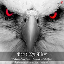 The origin of our sun lenses began at nasa's jet propulsion laboratory where scientists developed. The Eagles Eyes Is Watching Poem By Hashim Hamzat Poem Hunter