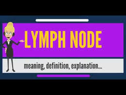 What Is Lymph Node What Does Lymph Node Mean Lymph Node Meaning Definition Explanation Youtube