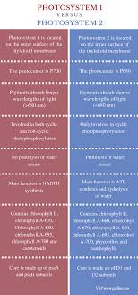 Difference Between Photosystem 1 And 2 Comparison Summary Mcat Study Light Reaction Definitions