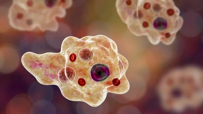 Kerala: Boy, 14, dies of rare brain-eating amoeba infection after bathing  in pond, 3rd death in 3 months - Kerala News | India Today