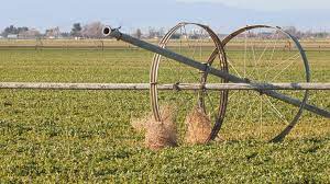 We did not find results for: Why Do Tumbleweeds Tumble Pbs Newshour