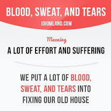 Idiom Land English Vocabulary Words English Phrases Learn English Words