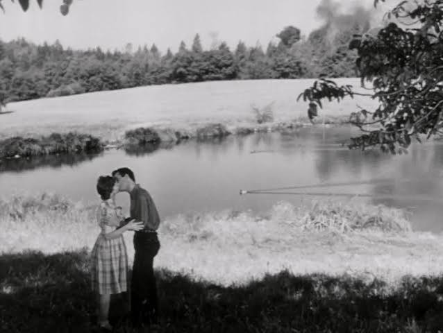 The Red House (1947) - IMDb