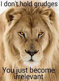 Lynette Askew (lynetteaskew7)