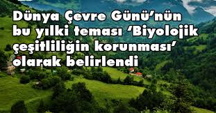 Dünya çevre günü nedir, neden ve ne zaman kutlanır? Orman Genel Muduru Karacabey Den Dunya Cevre Gunu Aciklamasi