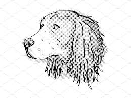 Black And White Springer Spaniel Cartoon English Springer Spaniel Dog Breed In 2020 Spaniel Art Dog Art English Springer Spaniel Puppy