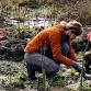 Dig it, Plant it, Do it Again! Volunteer Planting event image