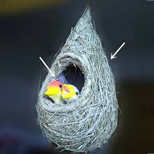 The artificial birds nest have large deeply saturated green leaves that hang elegantly over a hanging basket. Nest 2 Birds Set 2sets Artificial Straw Hanging Bird S Nest With Mini Foam Bird Wedding Decorations Christmas Home Ornament Bird Nest Bird Setset 2 Aliexpress