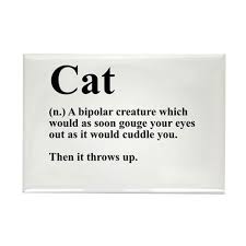 Cat Definition Rectangle Magnet Cat Definition Magnets By Everybody Shirts Cafepress In 2020 Words Definitions Throwing Up