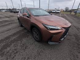 Image result for Autumn Shimmer 2017 NX