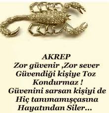 Berrin Yigit Adli Kullanicinin Guzellik Panosundaki Pin 2020 Akrep Akrep Burcu Burc Bilgileri