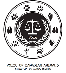 Pin On Animal Logos