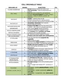 Animal cell organelles functions and structures. 19 Animal Cell Projects Ideas In 2021 Cells Project Animal Cell Project Animal Cell