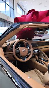 Image result for Nori Green 2022 LC