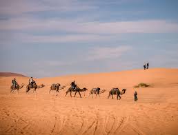 She's facing six counts of wire fraud, one count of theft of government funds and two counts of social security fraud. 12 Common Scams You Might Encounter In Morocco And How To Avoid Them Journal Of Nomads