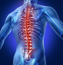 Acute neck pain is abrupt, intense pain that can radiate to the head, shoulders, arms, or hands. Back Pain Neck Pain Spinal Conditions Performance Physiotherapy Jersey