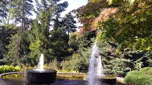 Spazieren Im Grunen Die Schonsten Garten In Und Um Koln Kolner Stadt Anzeiger