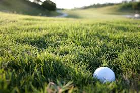 golf rough area