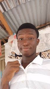 Has anyone else received this Wooga ad?