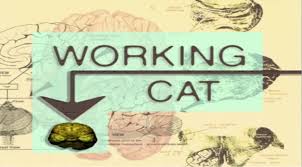 Hilarity ensues, until houses are leveled down, forests are ravaged, cities are lain waste, and the world goes kaboom!!. Working Cat Oggy And The Cockroaches W 2606511 Png Images Pngio