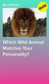 Pin On Quiz