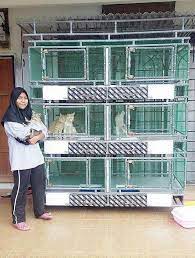 Kucing merupakan hewan yang lucu, entah itu kucing kampung ataupun kucing ras. Ilham Media Diy Rumah Kucing Guna Paip Pvc Je Ilhammedia Facebook