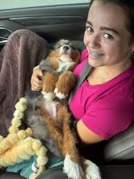 New bernedoodle gets loved by kids
