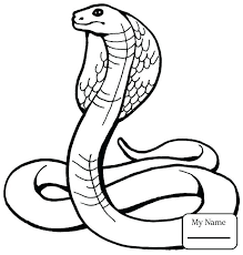 Reptiles Coloring Pages Reptiles Coloring Pages Trend Ball Python Ausmalbilder Schlange Zeichnung Malvorlagen Fur Kinder Zum Ausdrucken