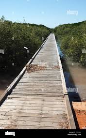 Streeter's Jetty amongst mangroves in Roebuck bay at high tide Stock Photo 