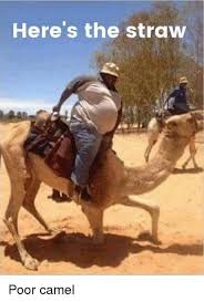 The camel straw is different. The Last Straw That Broke The Camel S Back 9gag