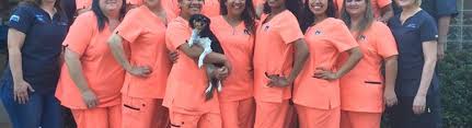 Sugar land emergency animal hospitals and clinics. Critter Care Animal Hospital Sugar Land Tx Alignable